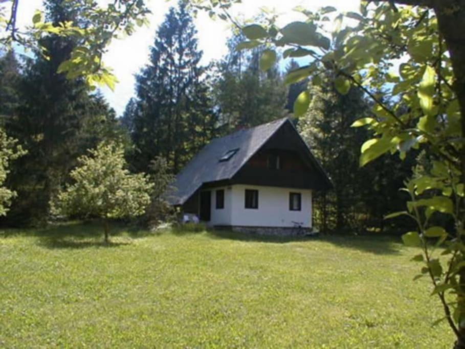 Apartment Lake Bohinj No. 5 Exterior foto