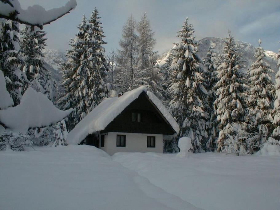 Apartment Lake Bohinj No. 5 Exterior foto
